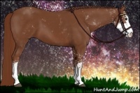 Horse Color:Chestnut Sabino