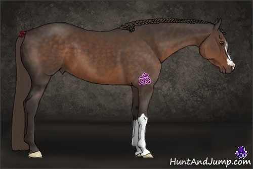 Horse Color:Liver Chestnut 