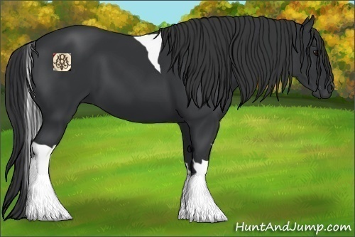 Horse Color:Black Tobiano