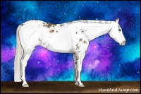 Horse Color:Silver Black Sabino 