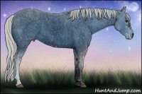 Horse Color:ERROR: UNKNOWN ANOMALY Brindle