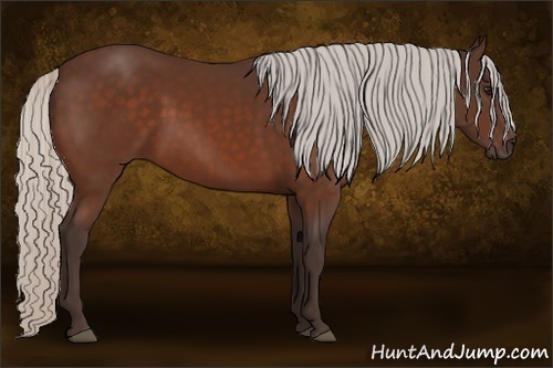 Horse Color:Silver Bay