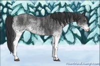 Horse Color:White Spotted Blue Roan Rabicano  Brindle