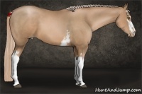 Horse Color:White Spotted Liver Chestnut Pearl 