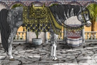 Horse Color:Black Ice  and Black Ice 