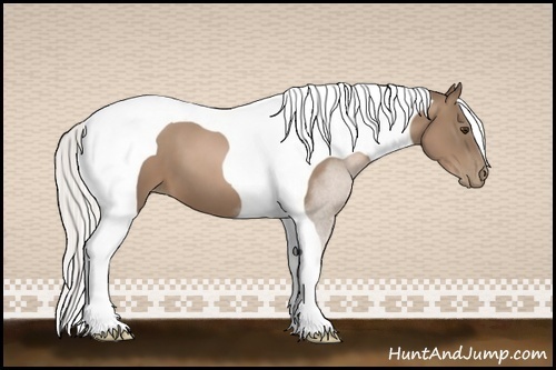 Horse Color:Silver Black Pearl Tobiano