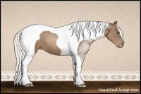 Horse Color:Silver Black Pearl Tobiano 