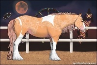 Horse Color:Watercolor Liver Chestnut Ice Splash Tobiano Rabicano 