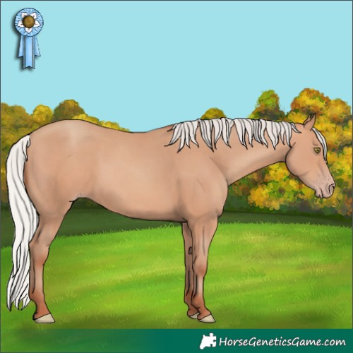 Horse Color:Silver Sable Champagne 