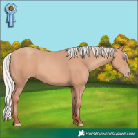 Horse Color:Silver Sable Champagne