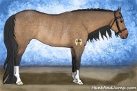 Horse Color:Bay Dun Rabicano 