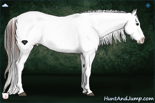 Horse Color:Bay Roan Dun Sabino Leopard Rabicano