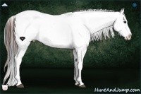 Horse Color:Bay Roan Dun Sabino Leopard Rabicano 