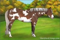 Horse Color:White Spotted Silver Brown Frame 