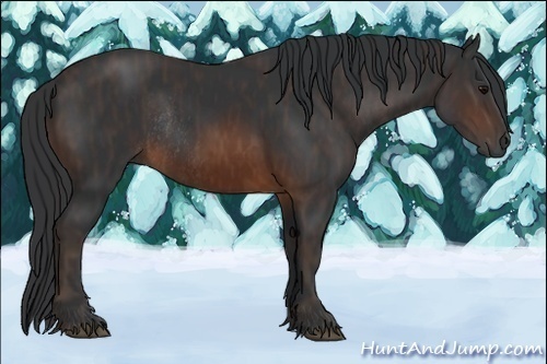 Horse Color:Brown Rabicano  Brindle