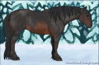 Horse Color:Brown Rabicano Brindle