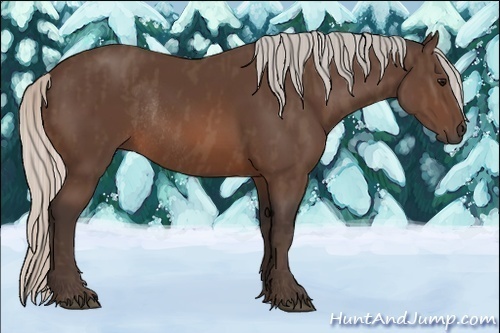 Horse Color:Silver Brown Rabicano  Brindle