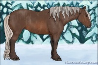 Horse Color:Silver Brown Rabicano  Brindle