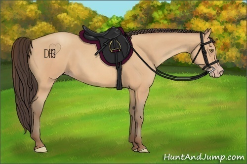 Horse Color:Amber Champagne 