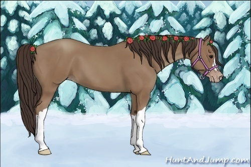 Horse Color:Classic Champagne 