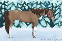 Horse Color:Classic Champagne 