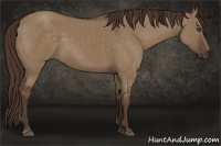 Horse Color:Liver Red Dun