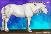 Horse Color:Liver Chestnut Pearl Mushroom Sabino Varnish