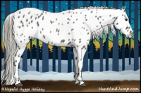 Horse Color:Liver Red Roan Appaloosa 