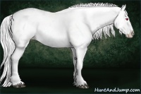 Horse Color:Silver Black Chinchilla Appaloosa  Brindle