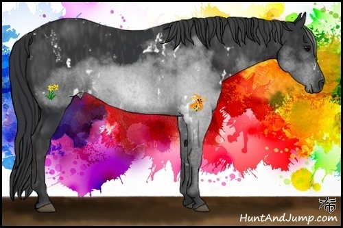 Horse Color:White Spotted Black  Brindle