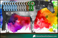 Horse Color:White Spotted Black  Brindle