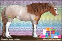 Horse Color:White Spotted Chestnut Sabino