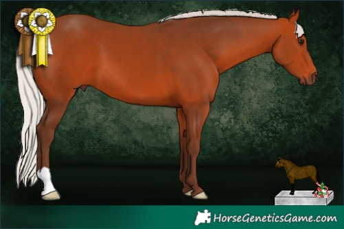 Horse Color:Silver Brown 