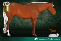Horse Color:Silver Brown 