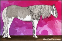 Horse Color:Silver Smoky Blue Roan Splash Rabicano