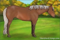 Horse Color:Silver Bay