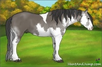Horse Color:Grullo Splash Tobiano 