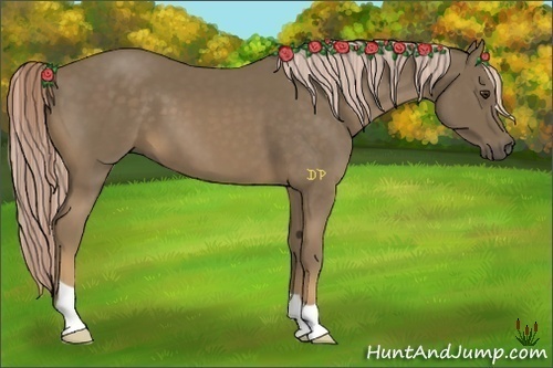 Horse Color:Chocolate Palomino 