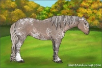 Horse Color:White Spotted Silver Blue Ice Roan 