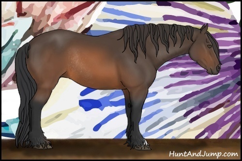 Horse Color:Brown Rabicano 