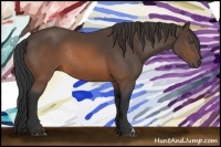 Horse Color:Brown Rabicano