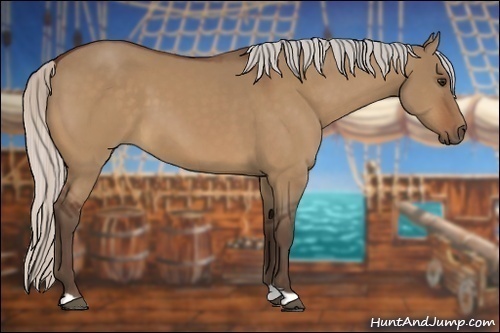 Horse Color:Silver Bay Dun