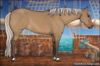 Horse Color:Silver Bay Dun