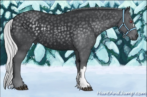 Horse Color:Silver Black Chinchilla 