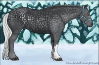 Horse Color:Silver Black Chinchilla