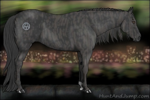 Horse Color:Black  Brindle
