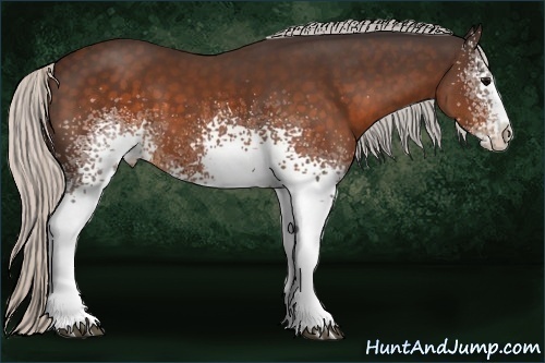 Horse Color:White Spotted Silver Brown Splash