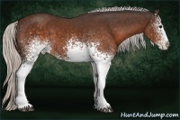 Horse Color:White Spotted Silver Brown Splash 