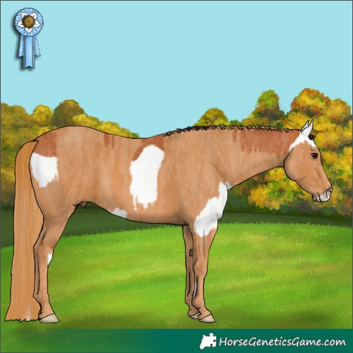 Horse Color:Brown Splash Brindle