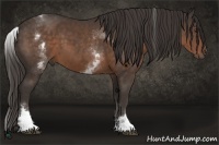 Horse Color:White Spotted Liver Chestnut Sabino 